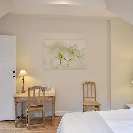 B&B Salve-2